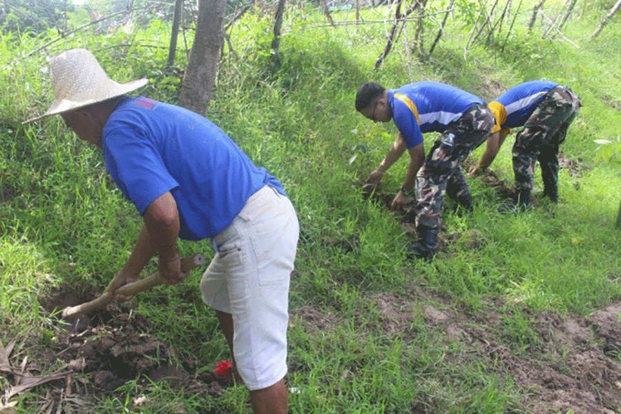 PAF's TOG 3 plants 200 mahogany seedlings in Tarlac - iOrbit News Online