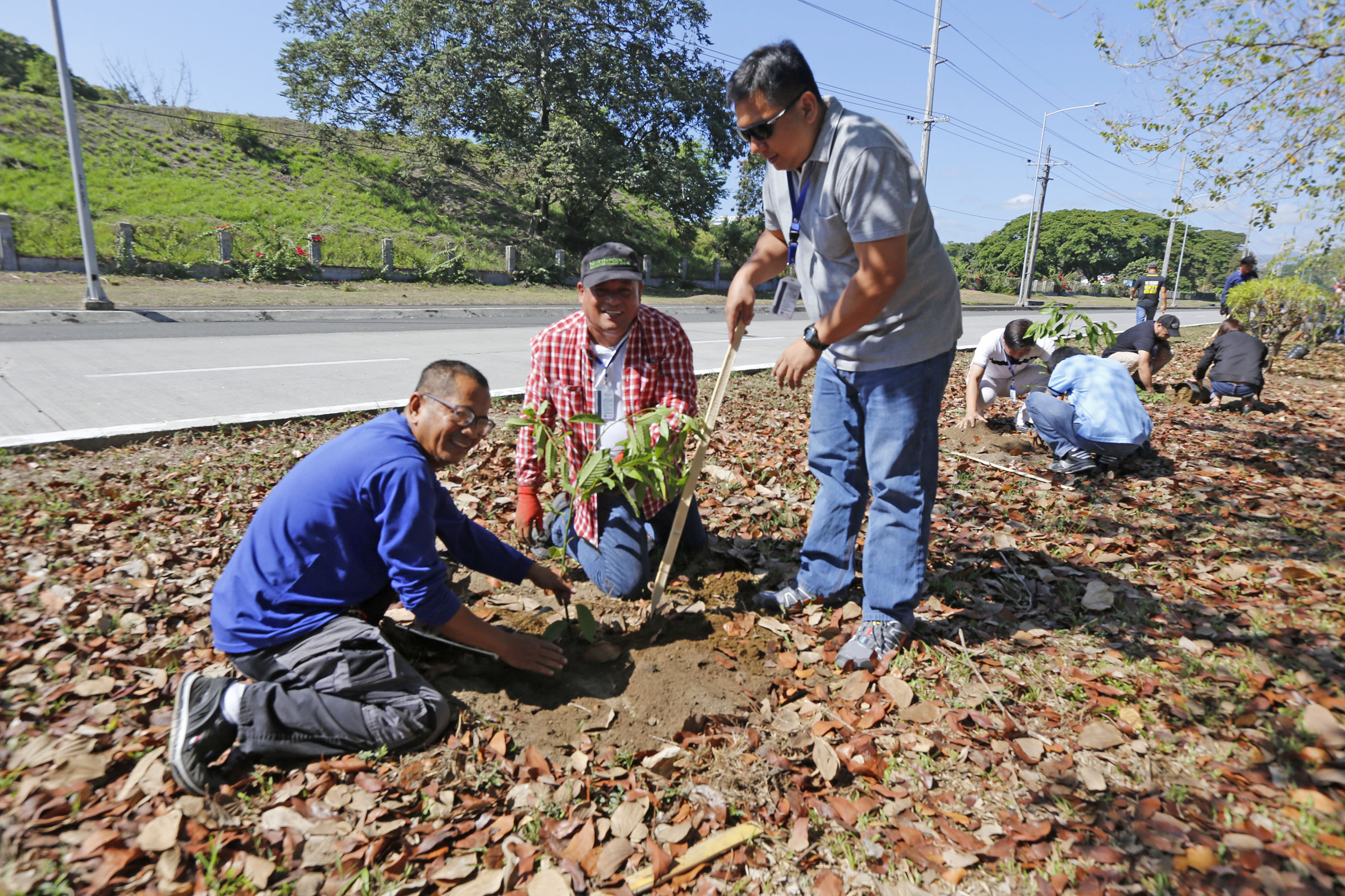 Cdc Holds Tree Planting Activity In Celebration Of Its 25th Year 